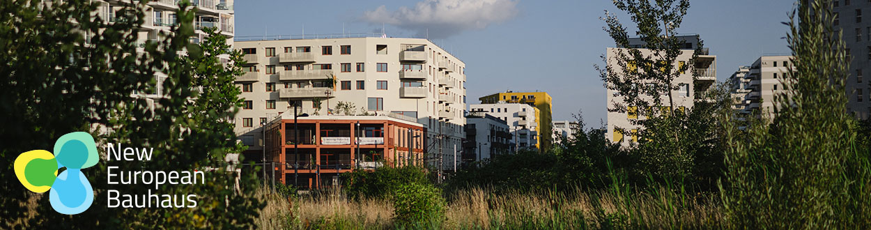 New European Bauhaus Voting